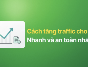 Hướng dẫn chi tiết cách tăng Traffic cho Website hiệu quả và bền vững